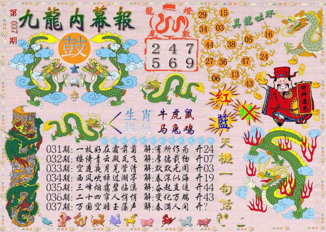 037期九龙内幕报[图]