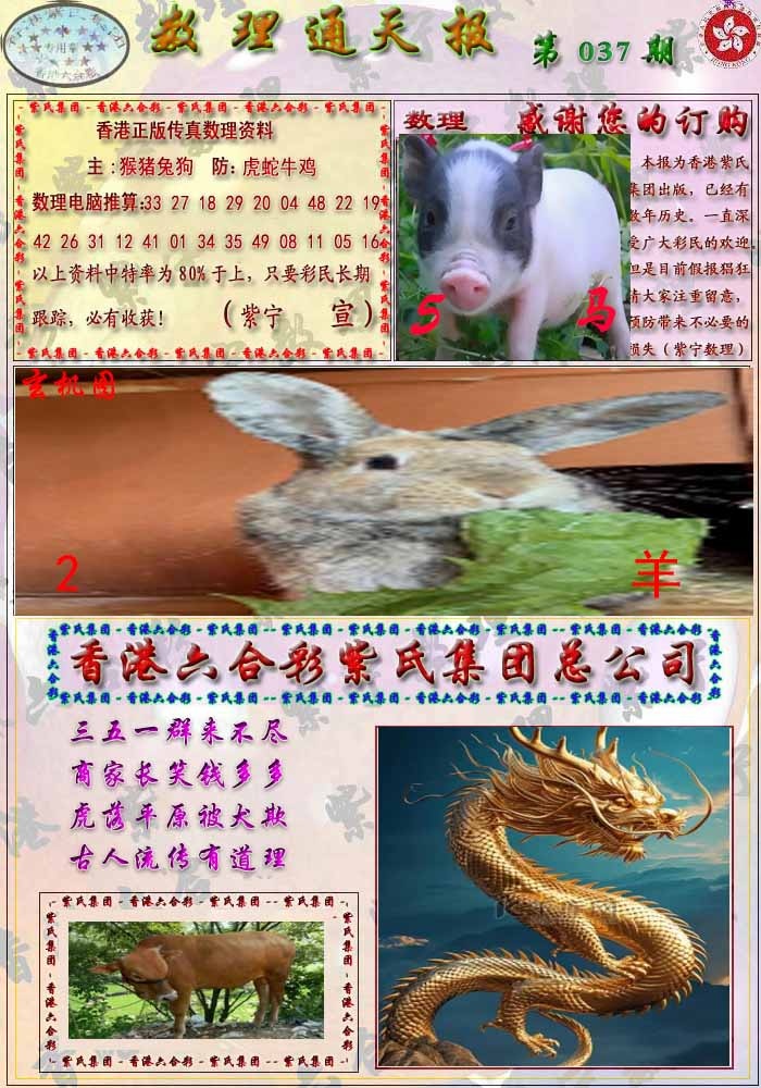 037期数通报[图]