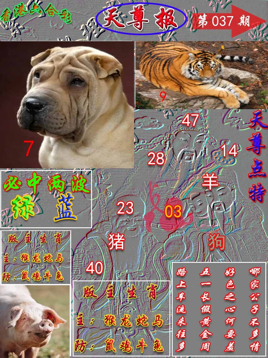 037期天尊报[图]