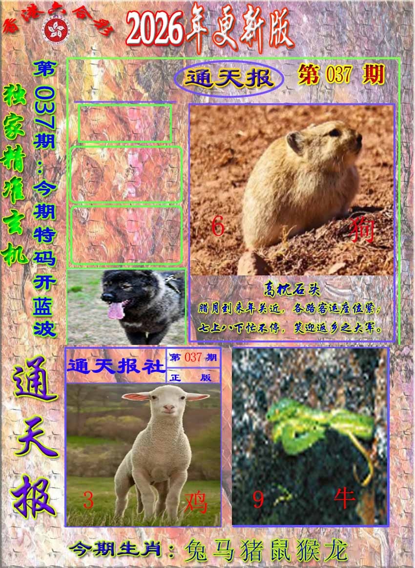 037期新通报[图]