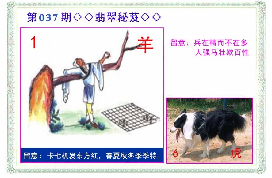 037期翡翠报[图]