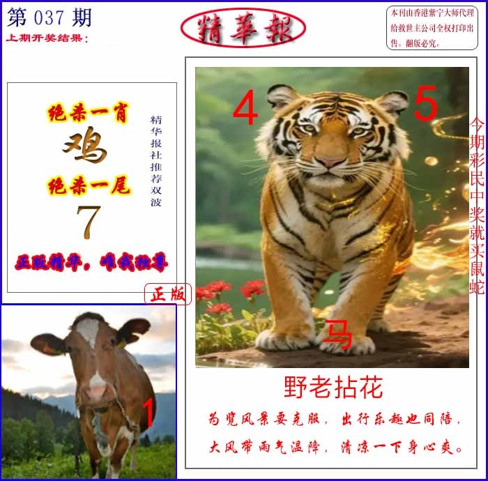 037期新精华报报[图]