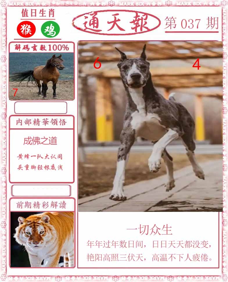037期正版通天报[图]