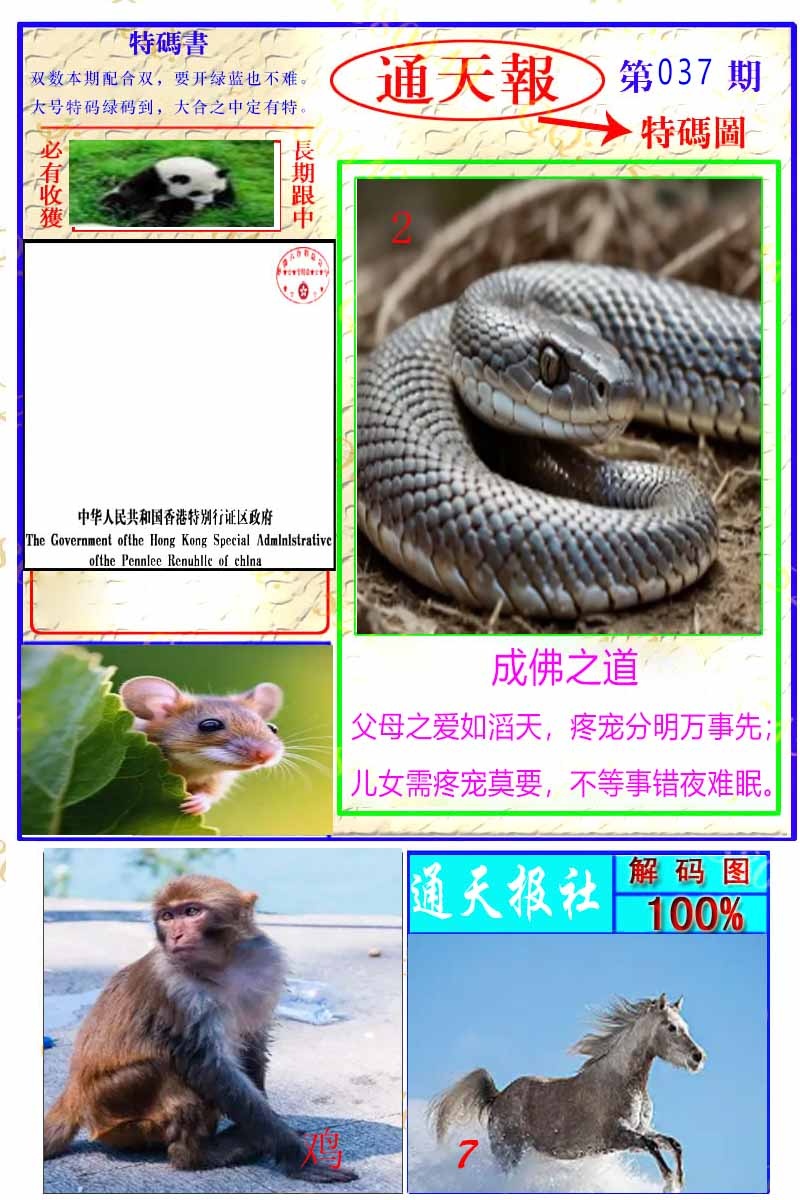 037期通天特解图[图]