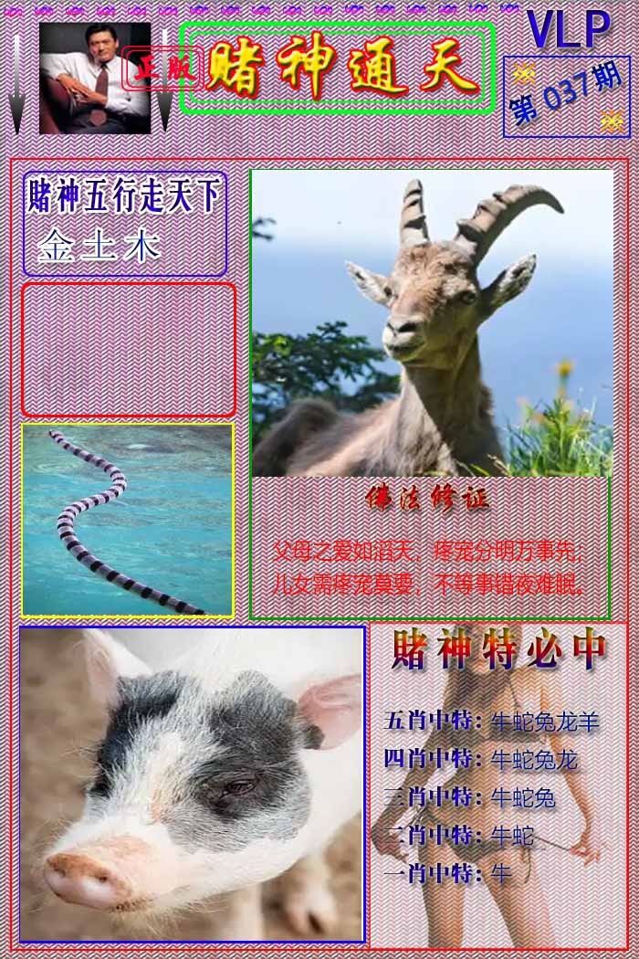 037期赌神通天报[图]